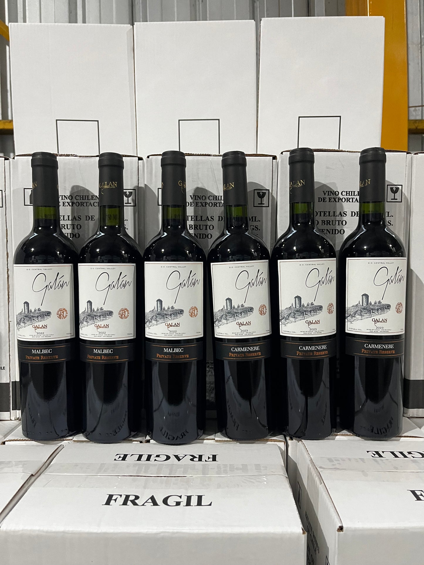Caja 6 Vinos: 3 Carmenere 3 Malbec
