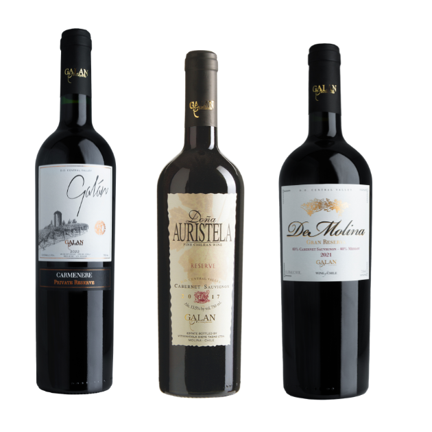 Clásicos Pack de 3 Vinos Tintos Viña Galán