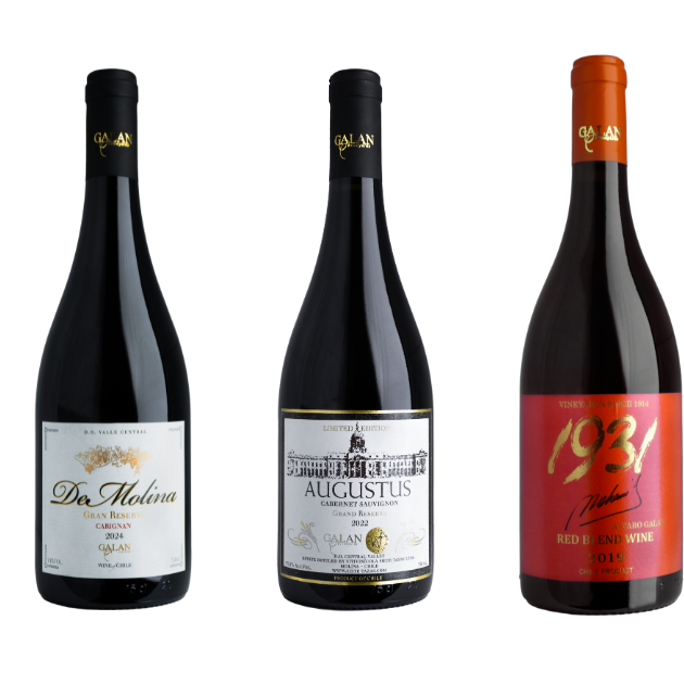 Recomendación del Enólogo Pack de 3 Vinos Tintos Gran Reserva e Icono
