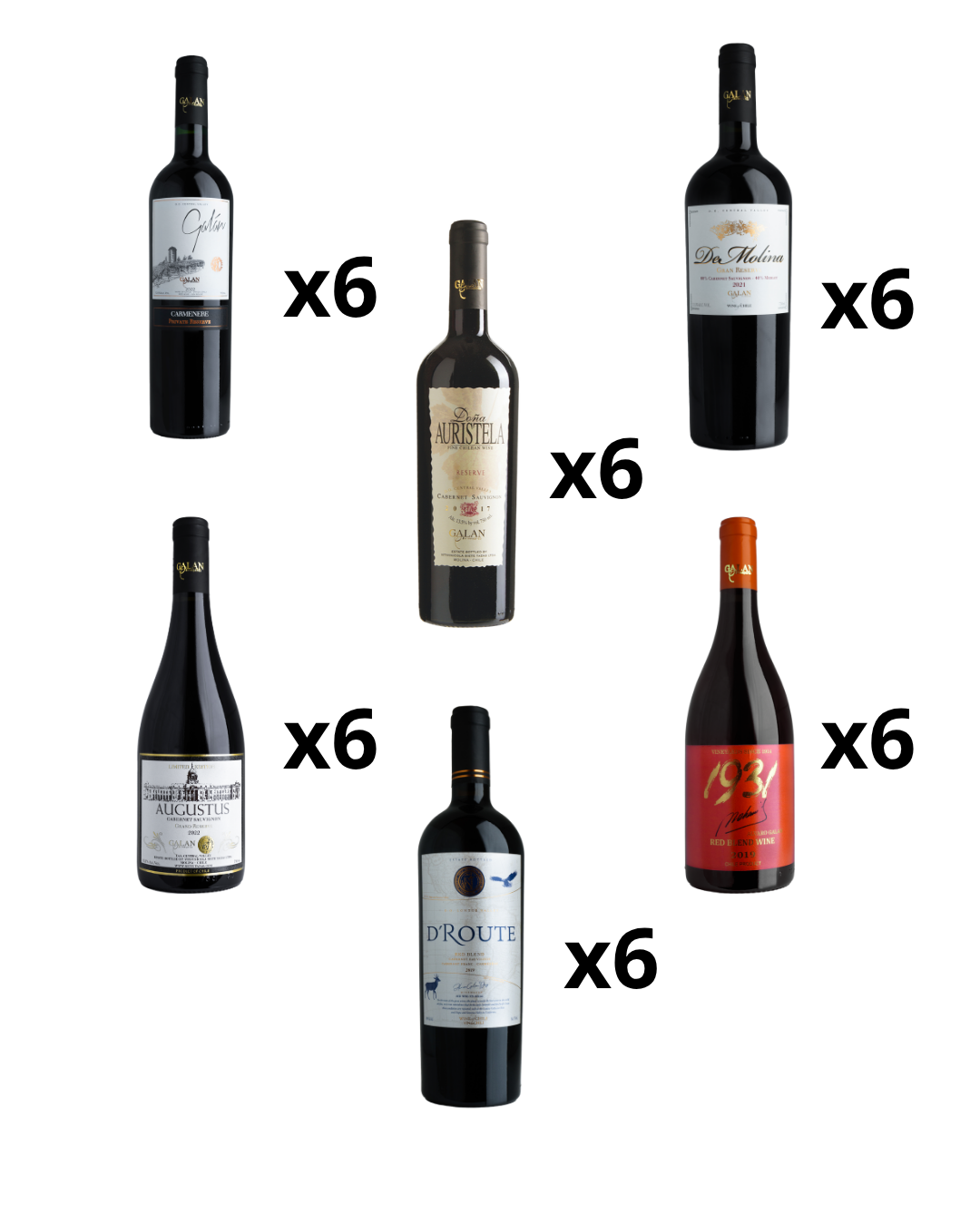 Caja de 6 vinos iguales