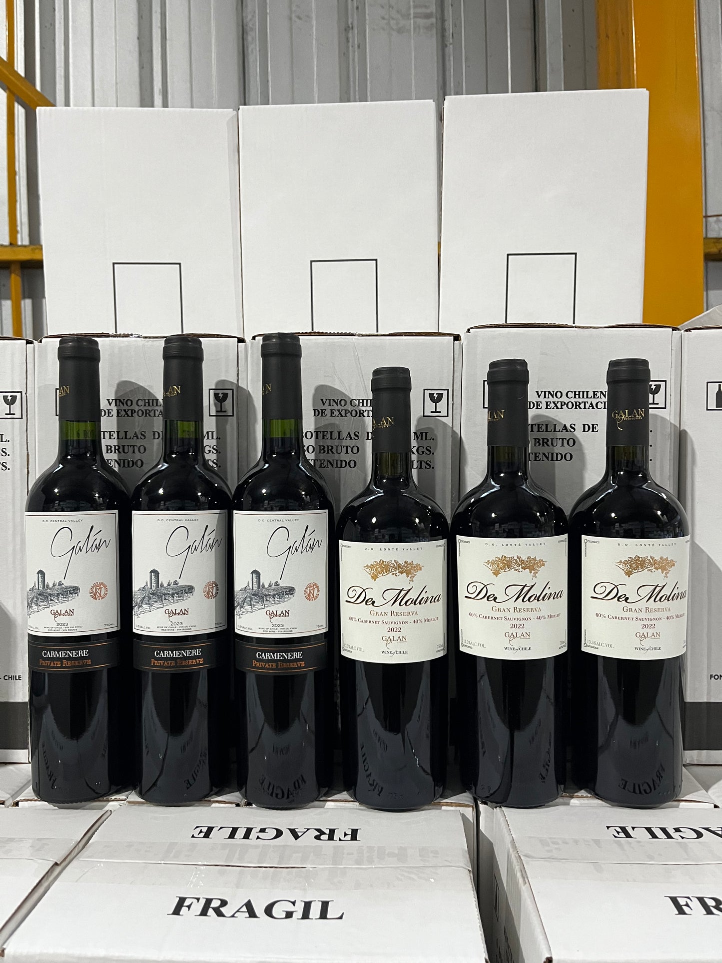 Caja 6 Vinos: 3 Carmenere 3 De Molina Gran Reserva