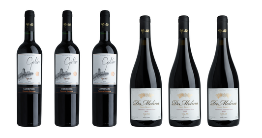 Caja 6 Vinos: 3 Carmenere 3 De Molina Gran Reserva