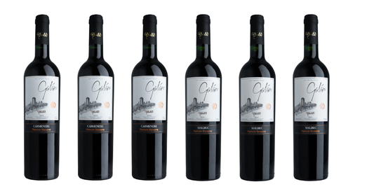 Caja 6 Vinos: 3 Carmenere 3 Malbec