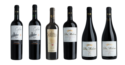 Caja 6 Vinos: 3 Reserva 3 Gran Reserva + Botellin de REGALO