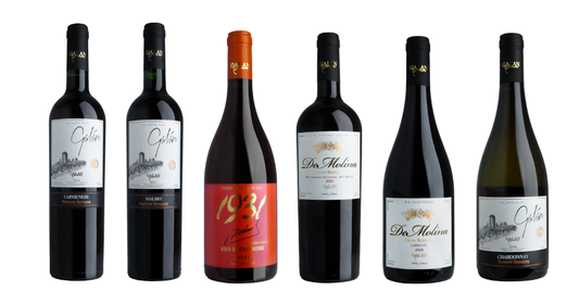 Caja 6 Vinos : 3 Reserva 2 Gran Reserva e 1 Icono