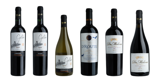 Caja 6 Vinos : 3 Reserva 2 Gran Reserva e 1 Icono + Botellin de REGALO