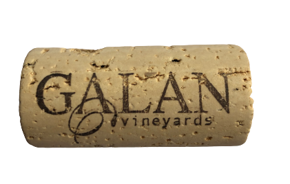 Cargar video: Nuestra Viña