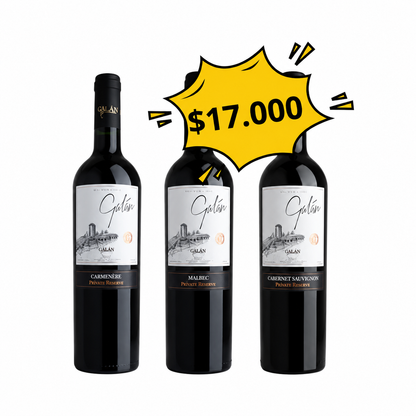 Descubre Vino Galán, Pack de 3 Vinos Tintos Reserva Privada