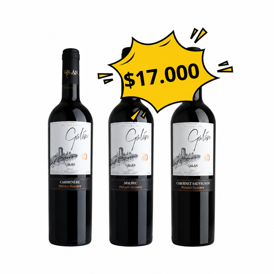 Descubre Vino Galán, Pack de 3 Vinos Tintos Reserva Privada