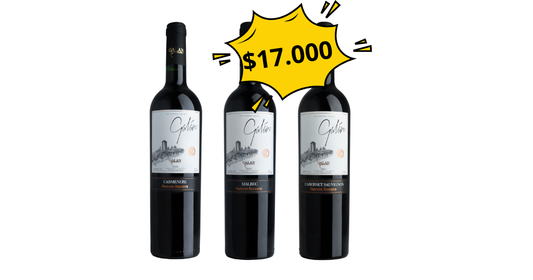 Descubre Vino Galán, Pack de 3 Vinos Tintos Reserva Privada