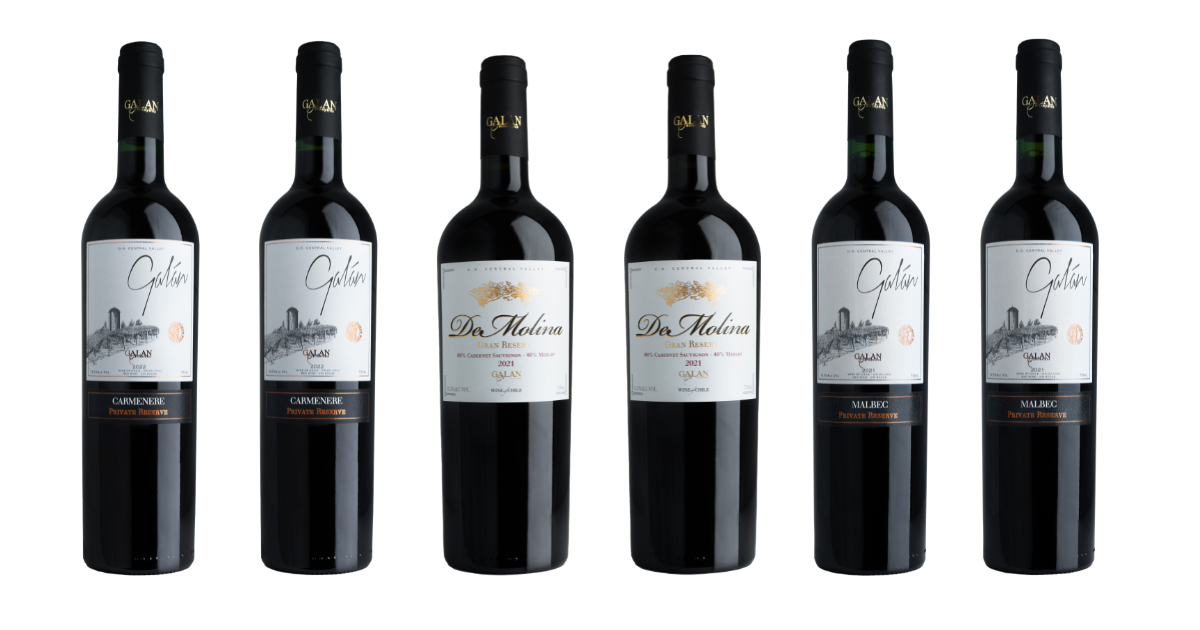 Caja 6 Vinos: 3 De Molina Cabernet Sauvignon Merlot 3 Carmenere 3 Malbec