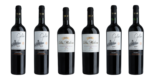 Caja 6 Vinos: 3 De Molina Cabernet Sauvignon Merlot 3 Carmenere 3 Malbec