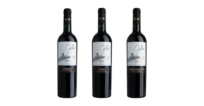 Descubre Vino Galán, Pack de 3 Vinos Tintos Reserva Privada